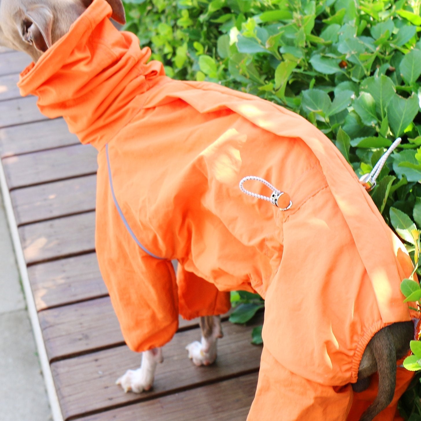 Breathable Waterproof Sighthound Raincoat
