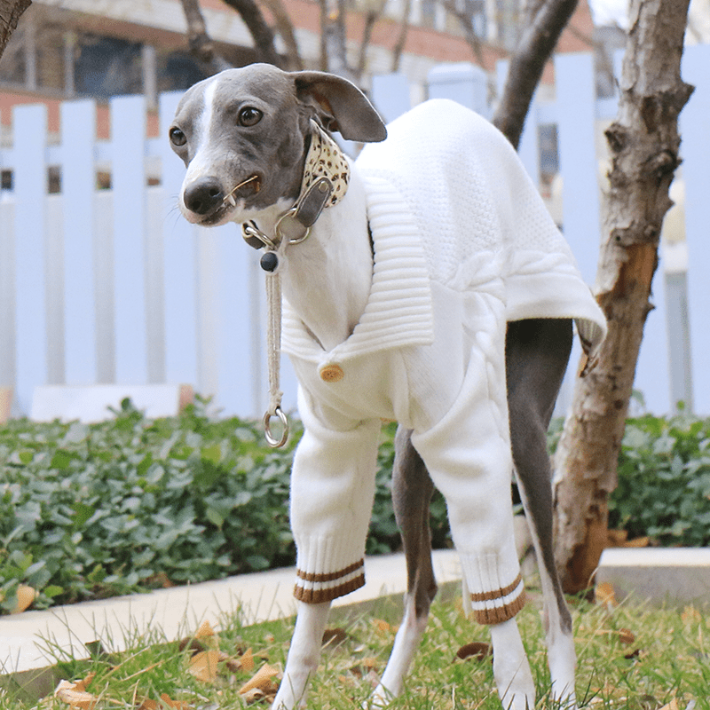 Button Knit Long Sleeve Greyhound Dog Sweater