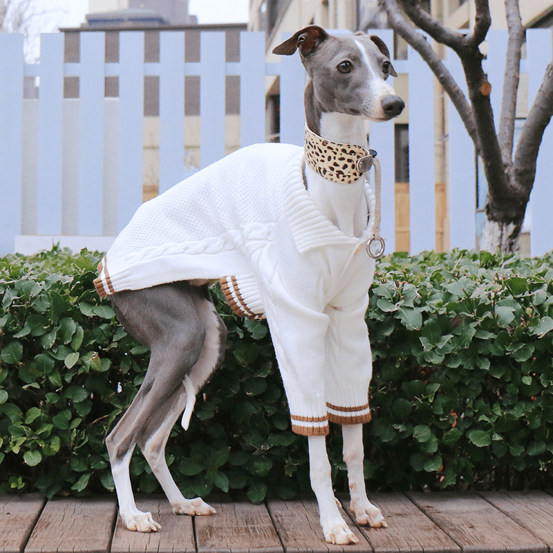 Button Knit Long Sleeve Greyhound Dog Sweater