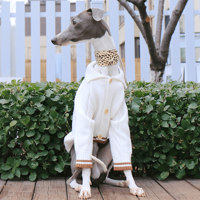 Button Knit Long Sleeve Greyhound Dog Sweater