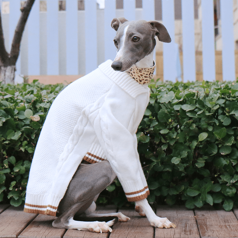 Button Knit Long Sleeve Greyhound Dog Sweater