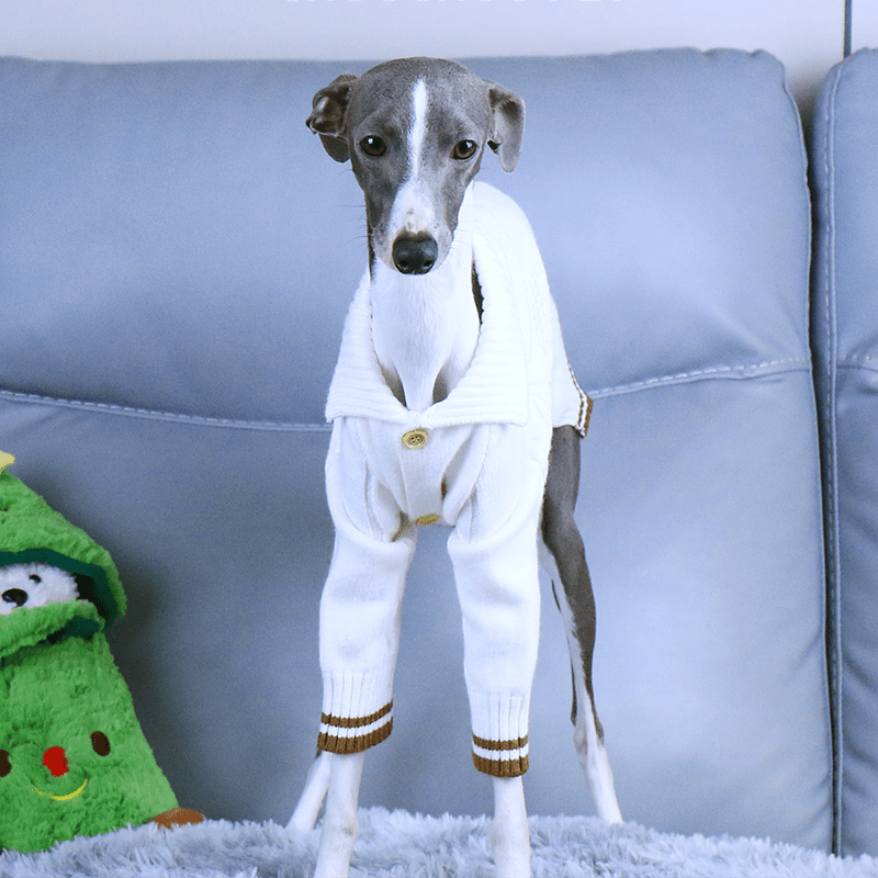 Button Knit Long Sleeve Greyhound Dog Sweater