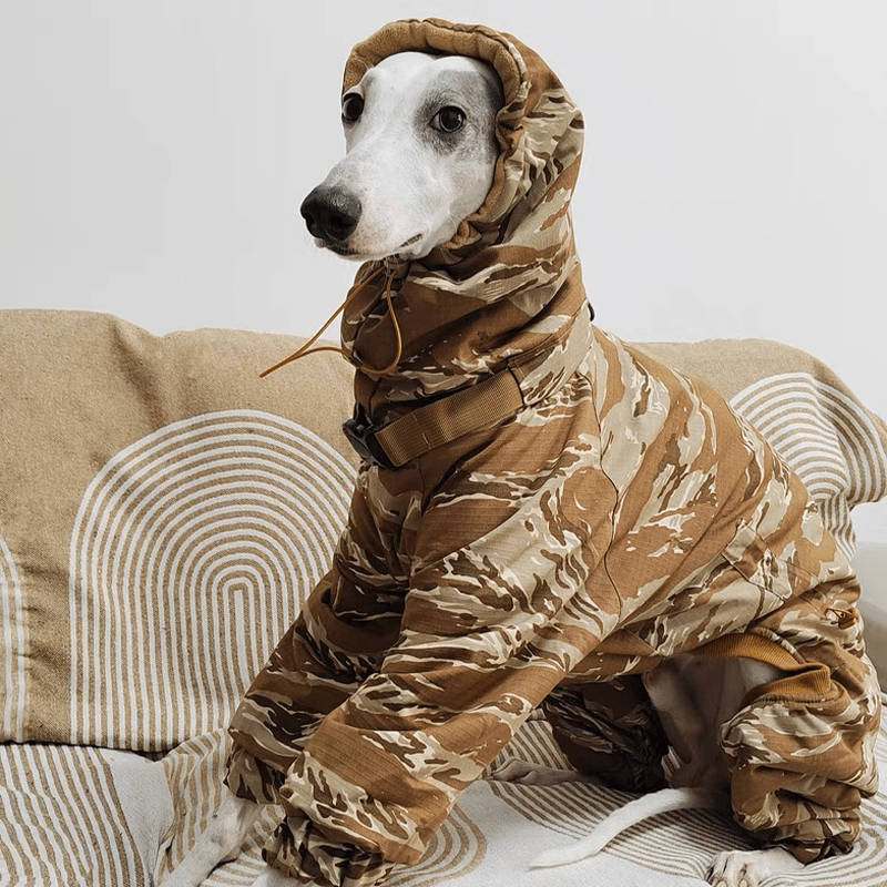 Waterproof Italian Greyhound Winter Coat