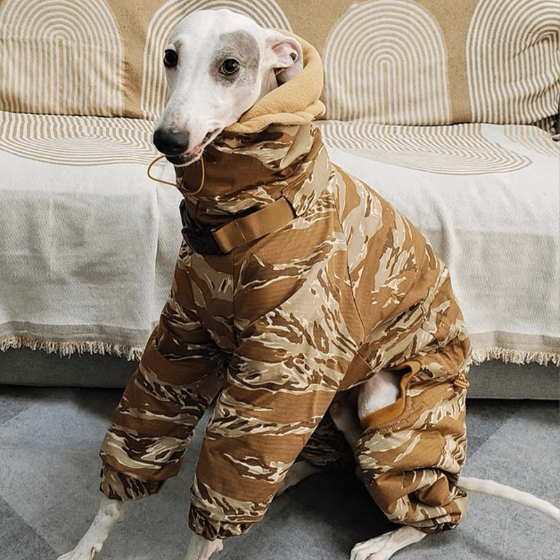 Waterproof Italian Greyhound Winter Coat