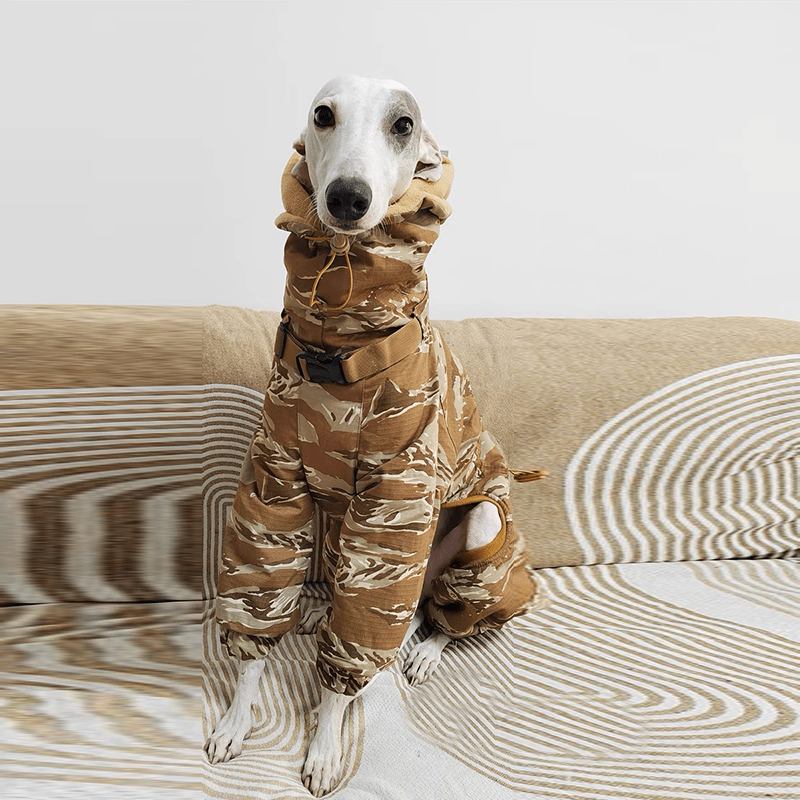 Waterproof Italian Greyhound Winter Coat