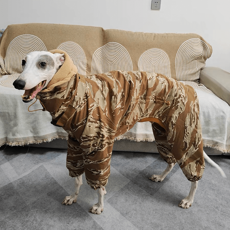 Waterproof Italian Greyhound Winter Coat