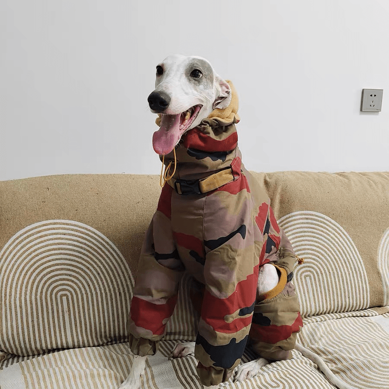 Waterproof Camouflage Italian Greyhound Coat