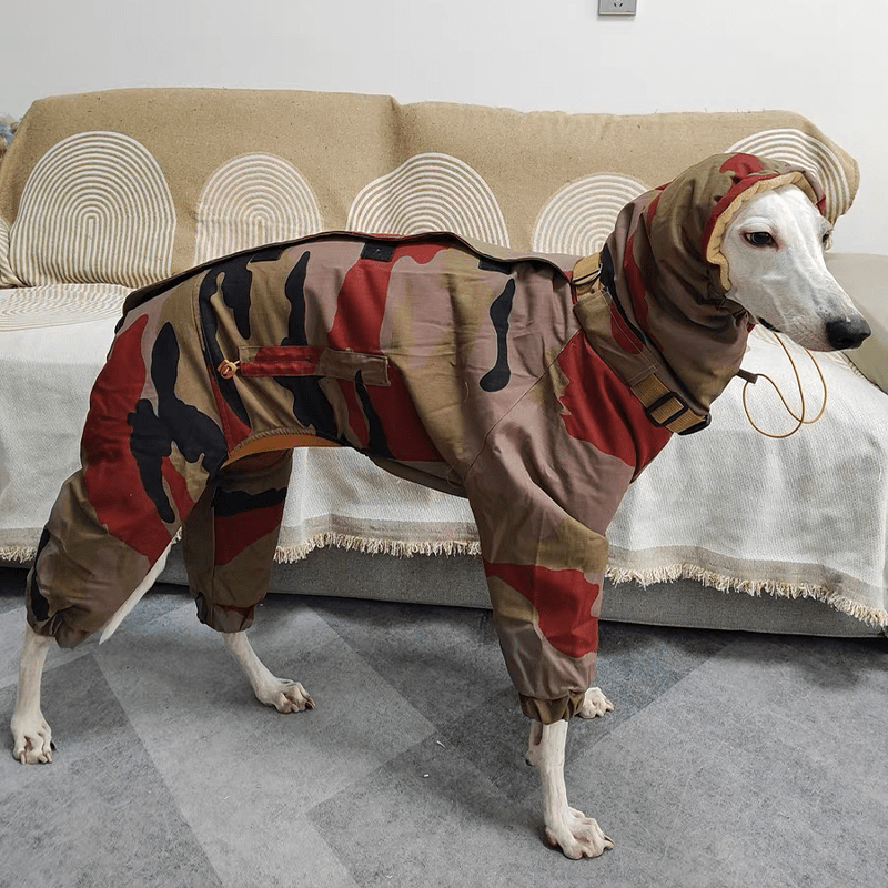 Waterproof Camouflage Italian Greyhound Coat