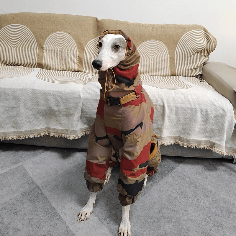Waterproof Camouflage Italian Greyhound Coat