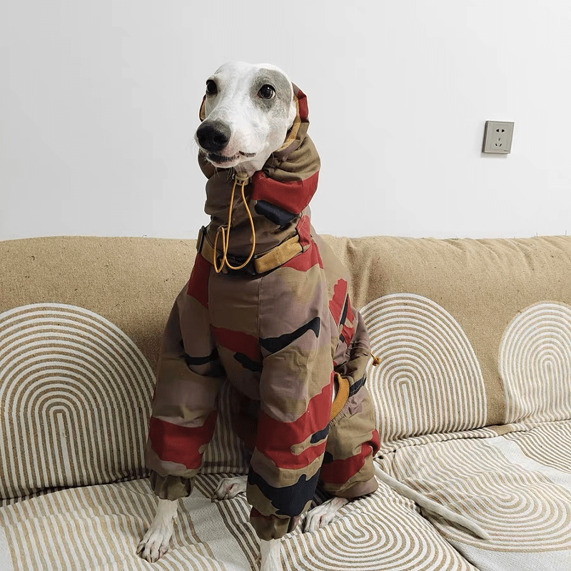 Waterproof Camouflage Italian Greyhound Coat
