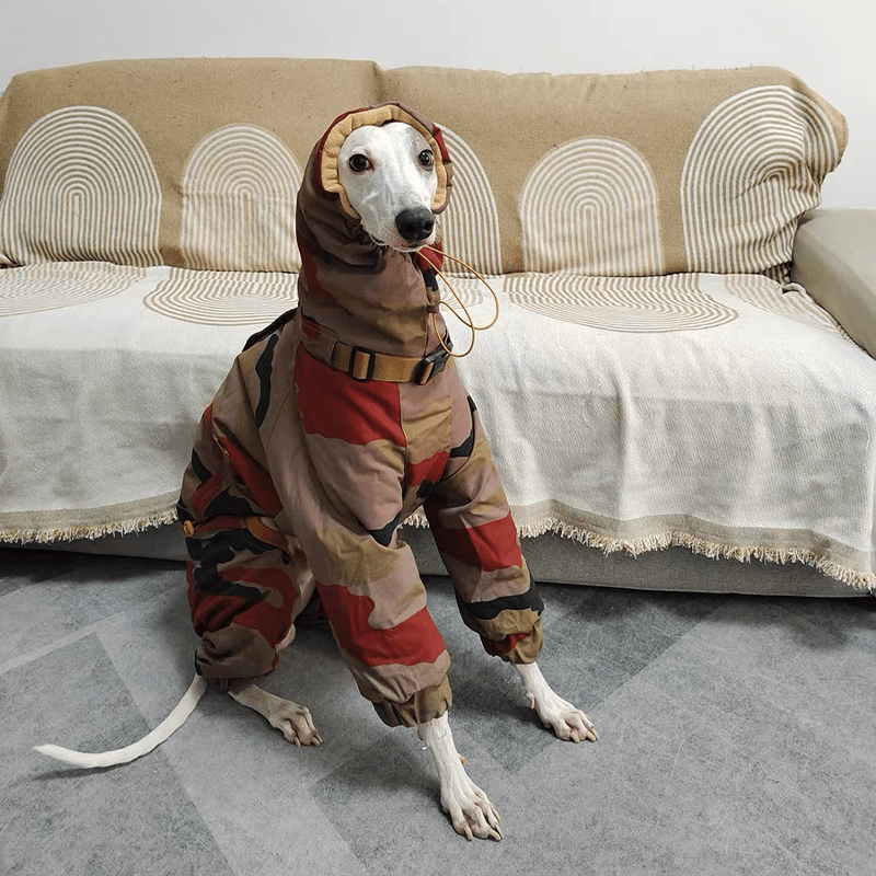 Waterproof Camouflage Italian Greyhound Coat