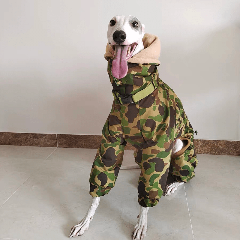Waterproof Greyhound Dog Snowsuit