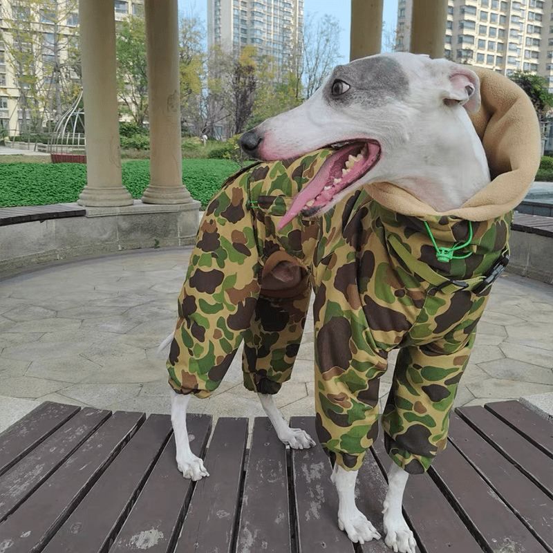 Waterproof Greyhound Dog Snowsuit
