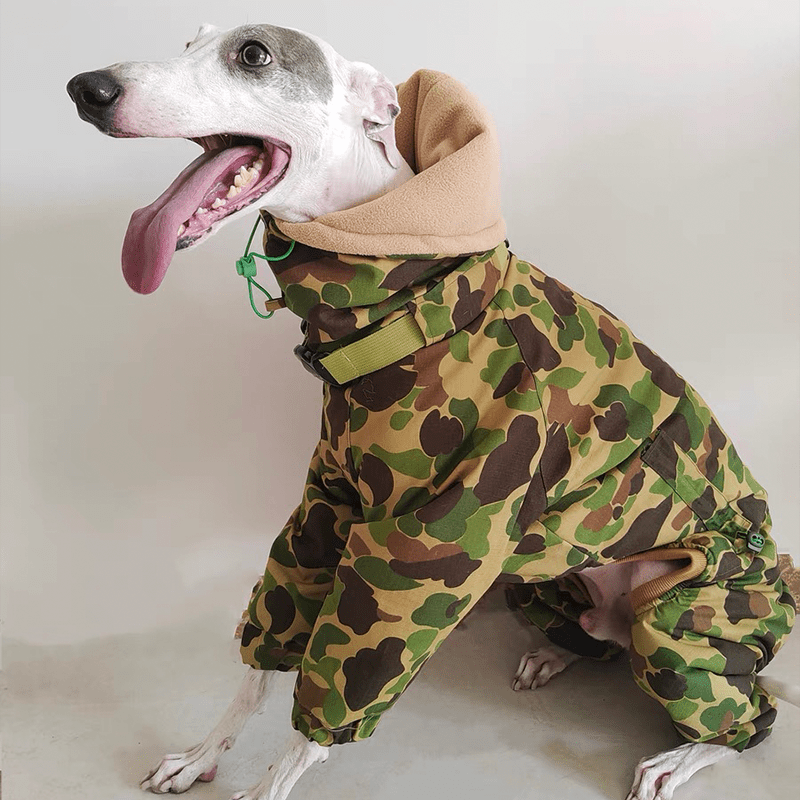 Waterproof Greyhound Dog Snowsuit