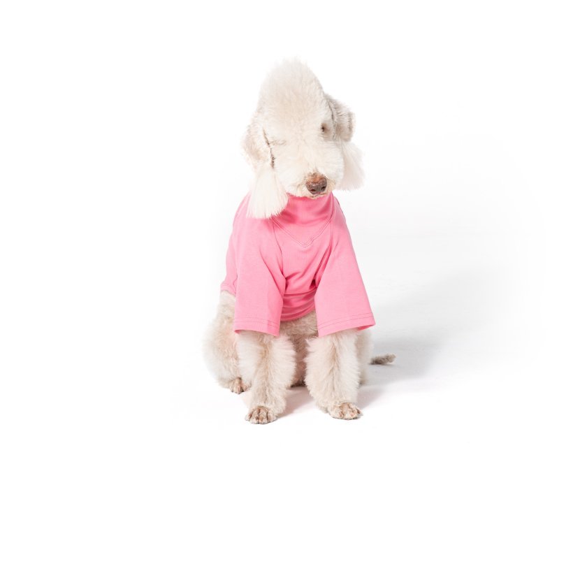 Comfortable Cotton Italian Greyhound T Shirt