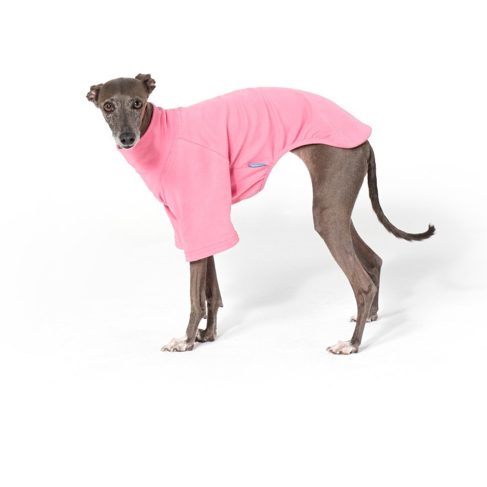 Comfortable Cotton Italian Greyhound T Shirt