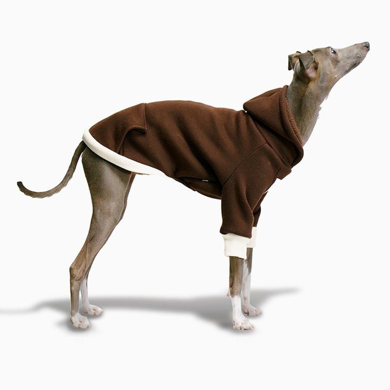 Cozy Fleece Italian Greyhound Hoodie