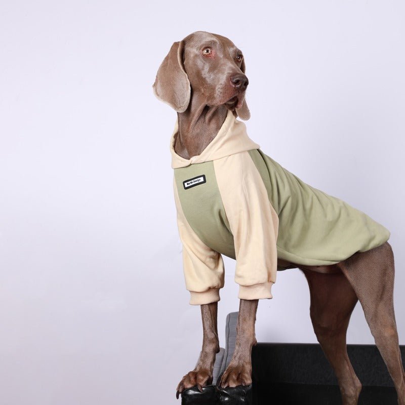 Cozy Casual Big Dog Hoodie