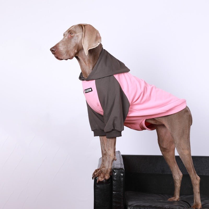 Cozy Casual Big Dog Hoodie