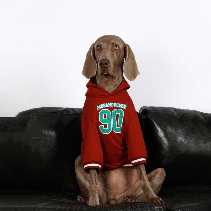 Comfortable Big Dog Hoodie