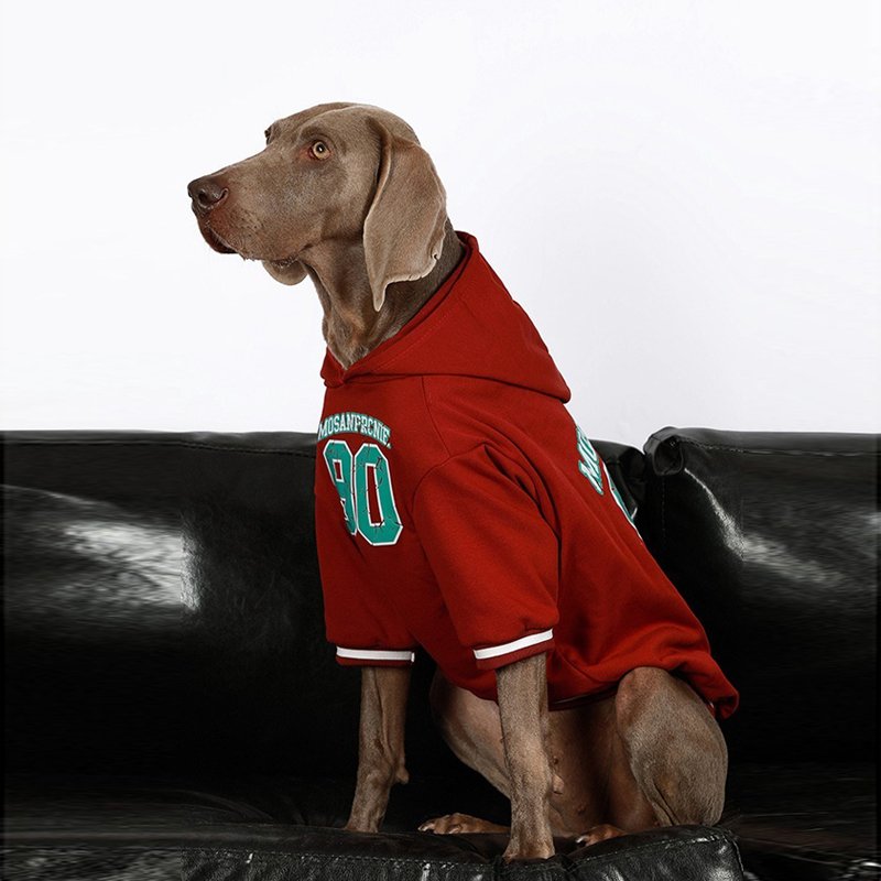 Comfortable Big Dog Hoodie