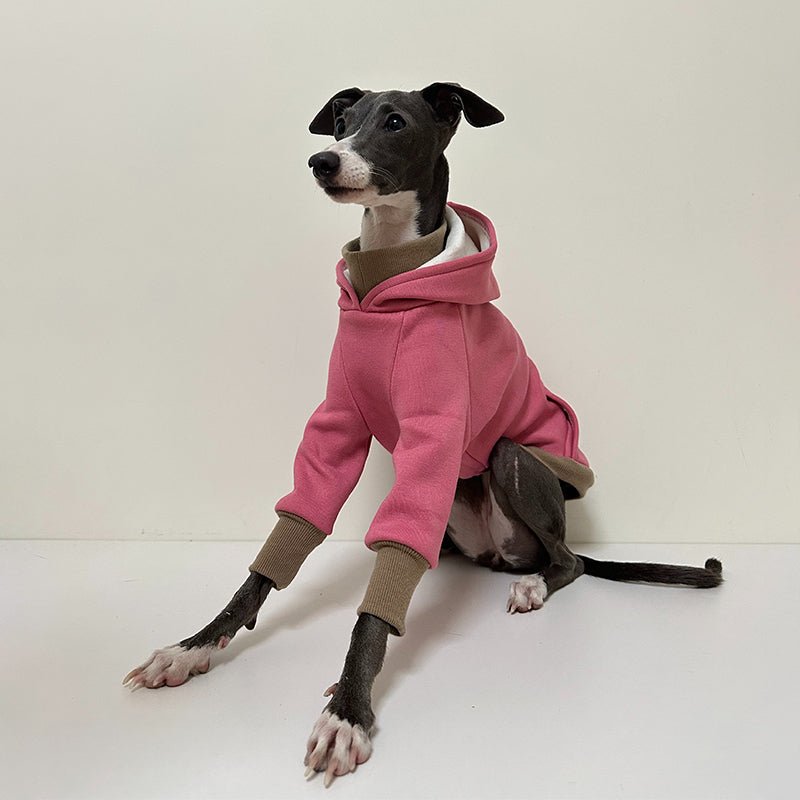 Cozy Greyhound Dog Hoodie