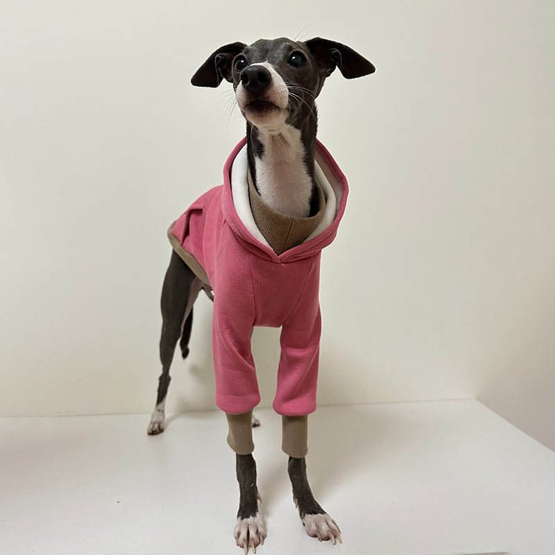 Cozy Greyhound Dog Hoodie