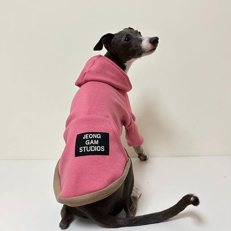 Cozy Greyhound Dog Hoodie