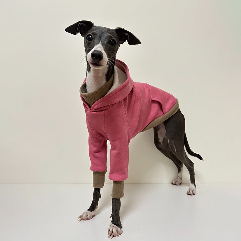 Cozy Greyhound Dog Hoodie