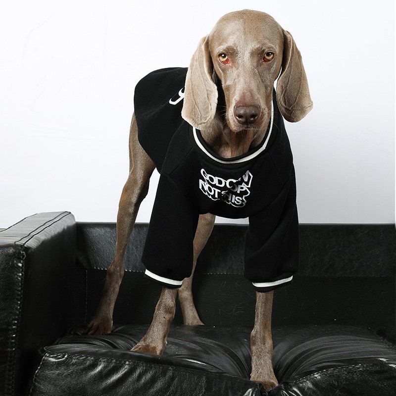Stylish Comfort Big Dog Sweatshirt
