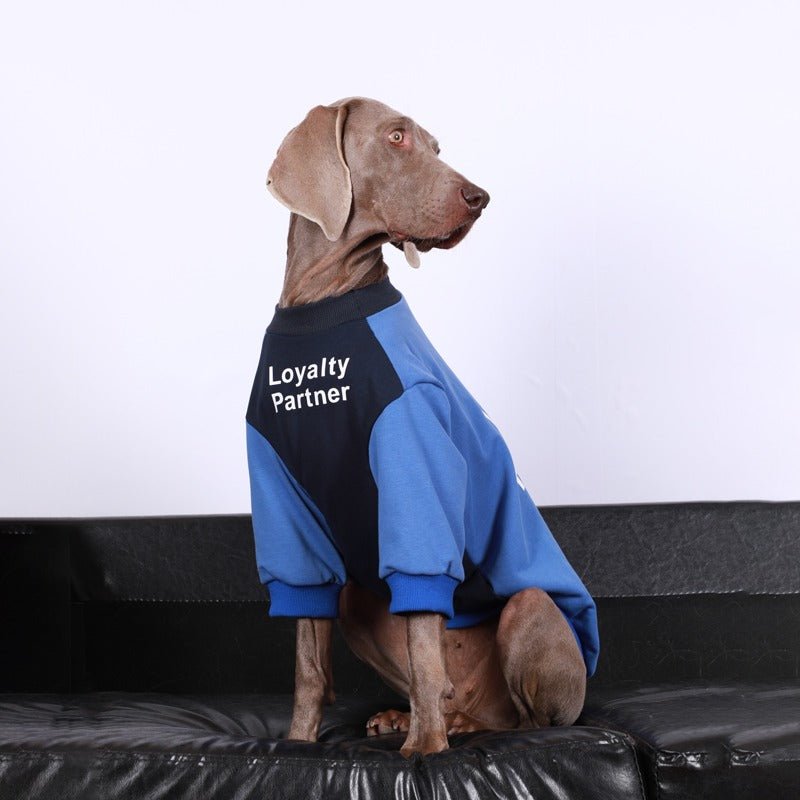 Warm Big Dog Casual Sweatshirt