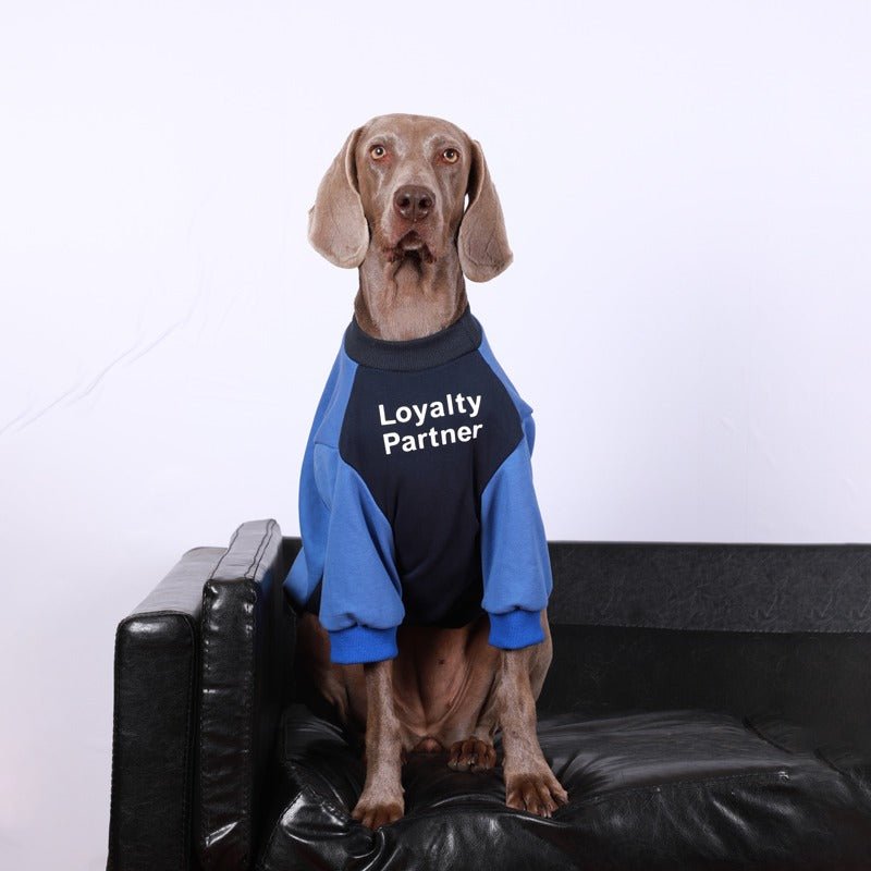 Warm Big Dog Casual Sweatshirt