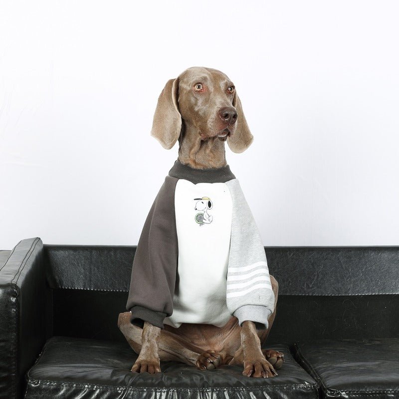 Warm Big Dog Casual Sweatshirt