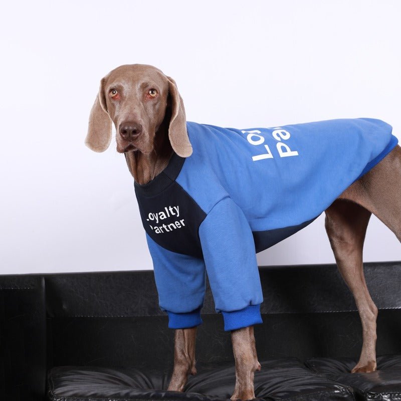 Warm Big Dog Casual Sweatshirt