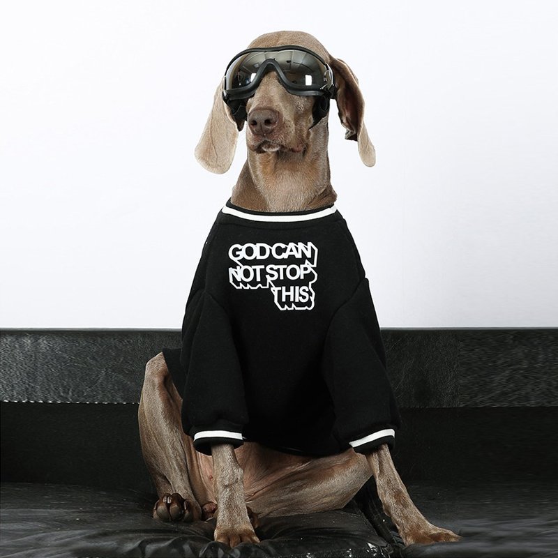 Stylish Comfort Big Dog Sweatshirt