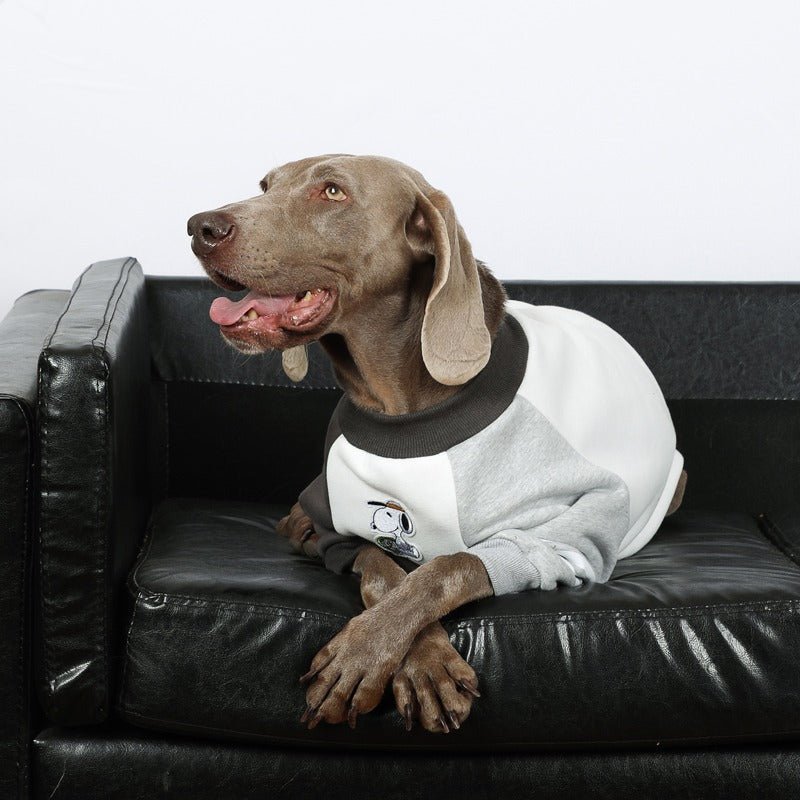Warm Big Dog Casual Sweatshirt
