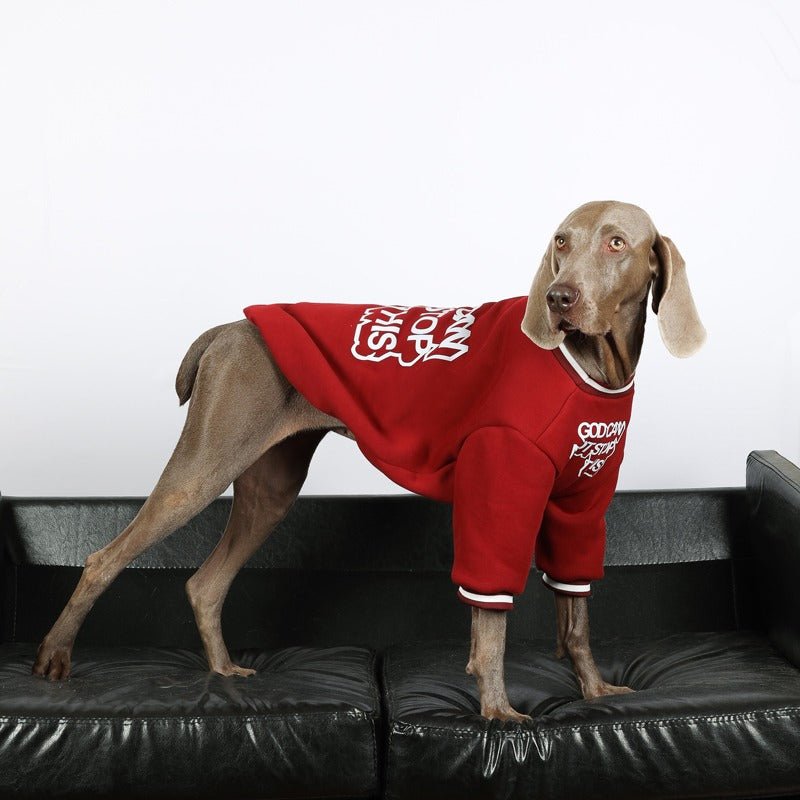 Stylish Comfort Big Dog Sweatshirt
