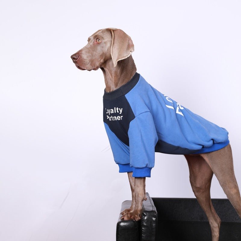 Warm Big Dog Casual Sweatshirt