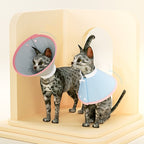 Comfortable Pet Recovery Collar After Surgery