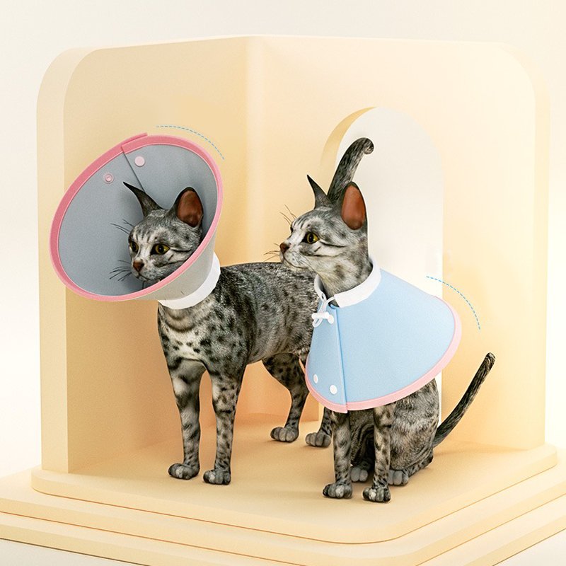 Comfortable Pet Recovery Collar After Surgery