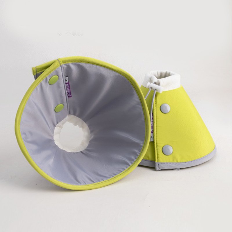 Waterproof Cat Dog Recovery Collar