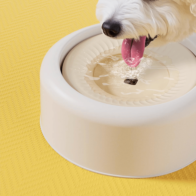 Hydrating No Spill Dog Water Bowl