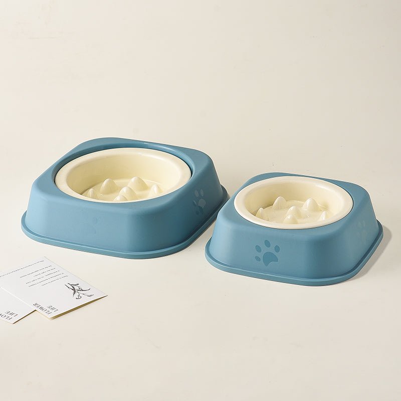 Ceramic Slow Feeder Dog Bowl