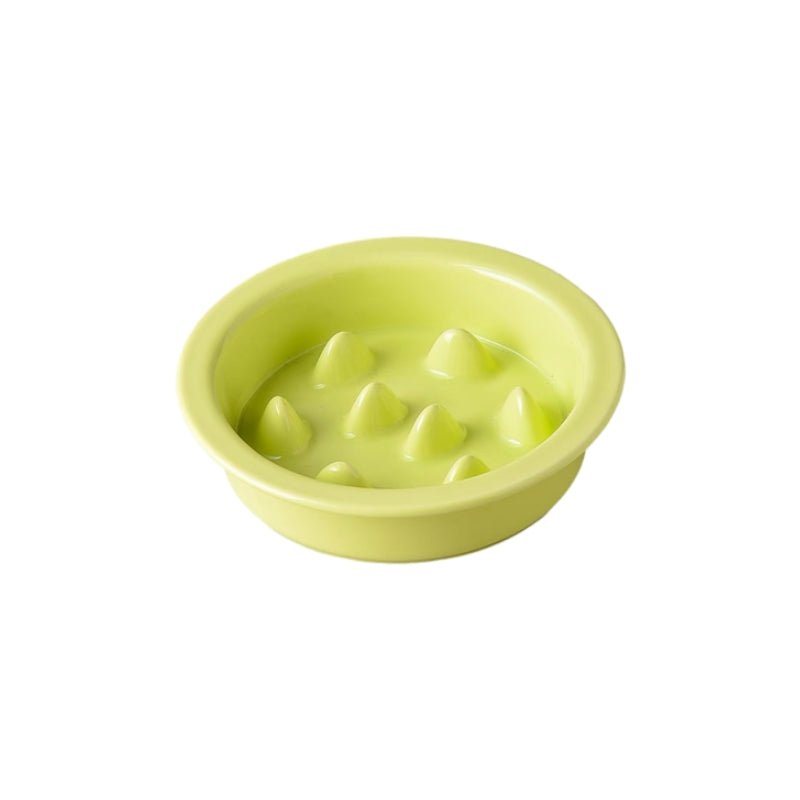 Elevated Ceramic Slow Feeder Dog Bowl