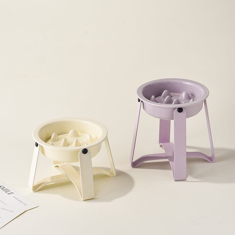 Elevated Ceramic Slow Feeder Dog Bowl