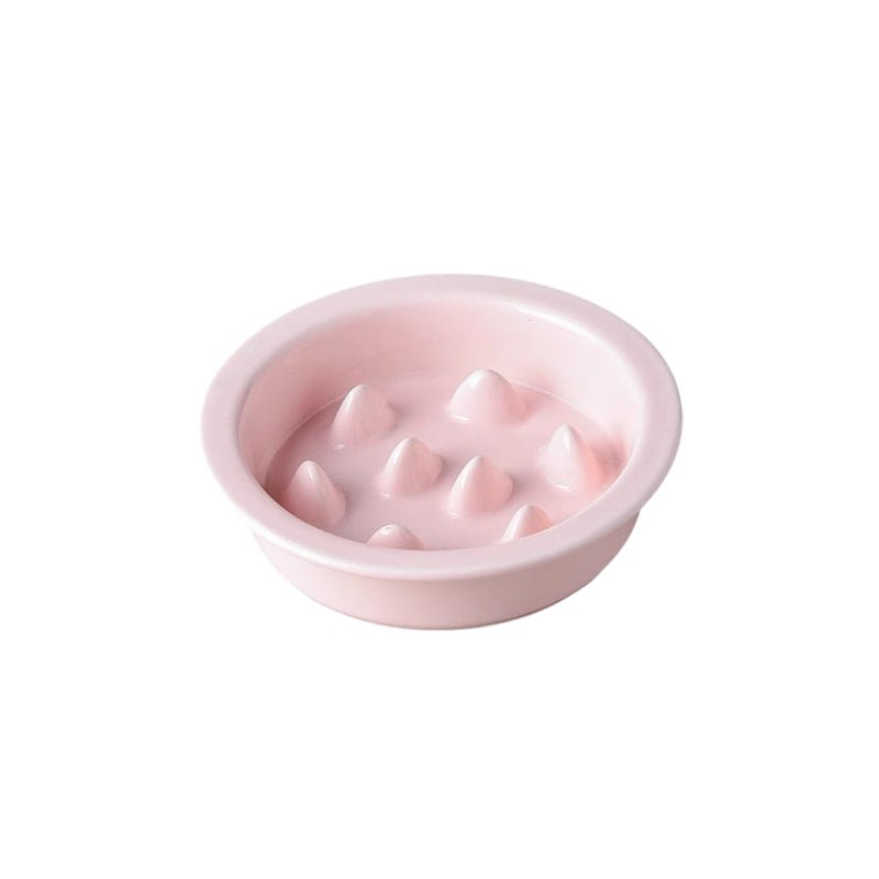 Elevated Ceramic Slow Feeder Dog Bowl