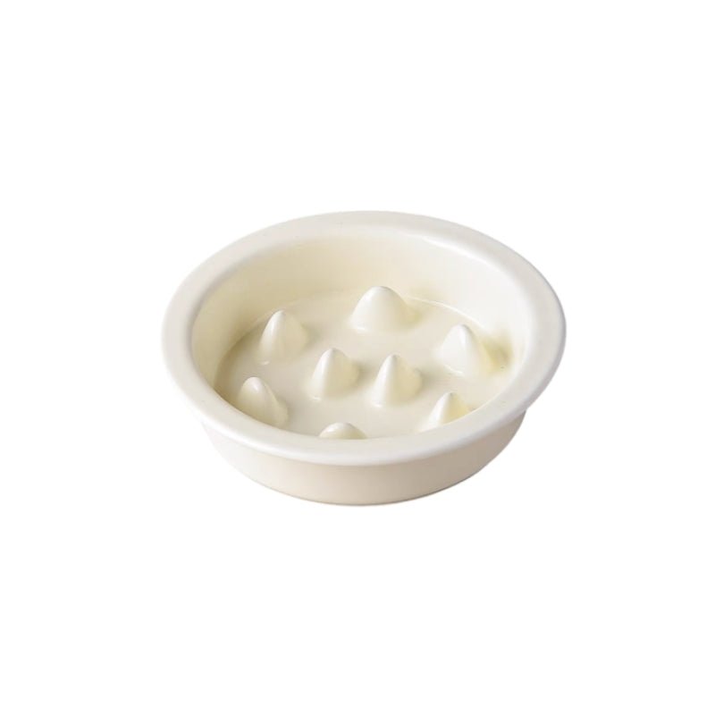 Elevated Ceramic Slow Feeder Dog Bowl