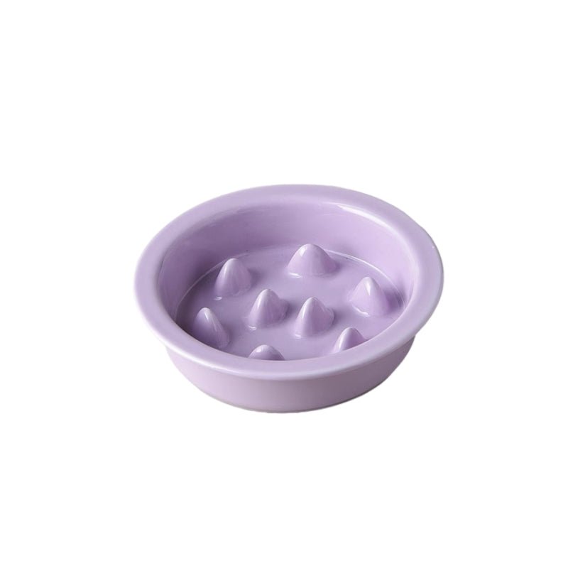 Elevated Ceramic Slow Feeder Dog Bowl