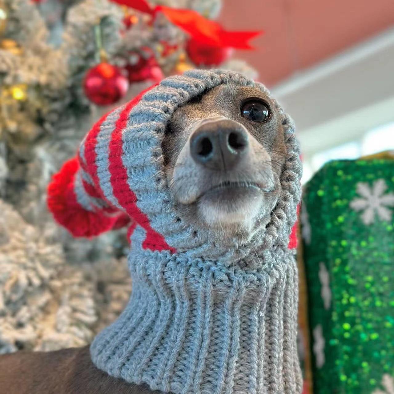 Warm Christmas Knit Hat Dog Cat Accessory