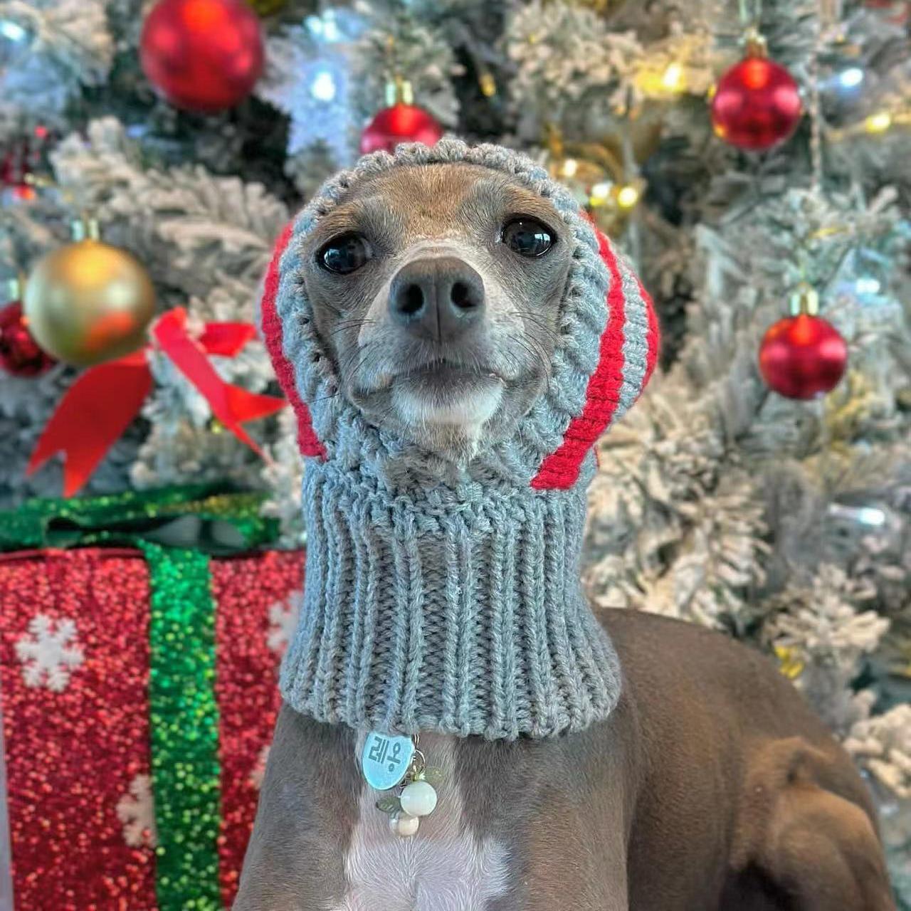 Warm Christmas Knit Hat Dog Cat Accessory